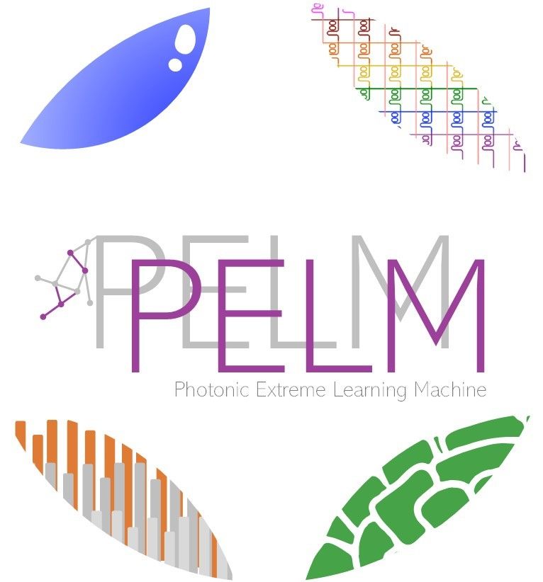 PELMlogo.jpg